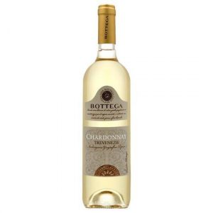 Chardonnay Trevenezie Bottega